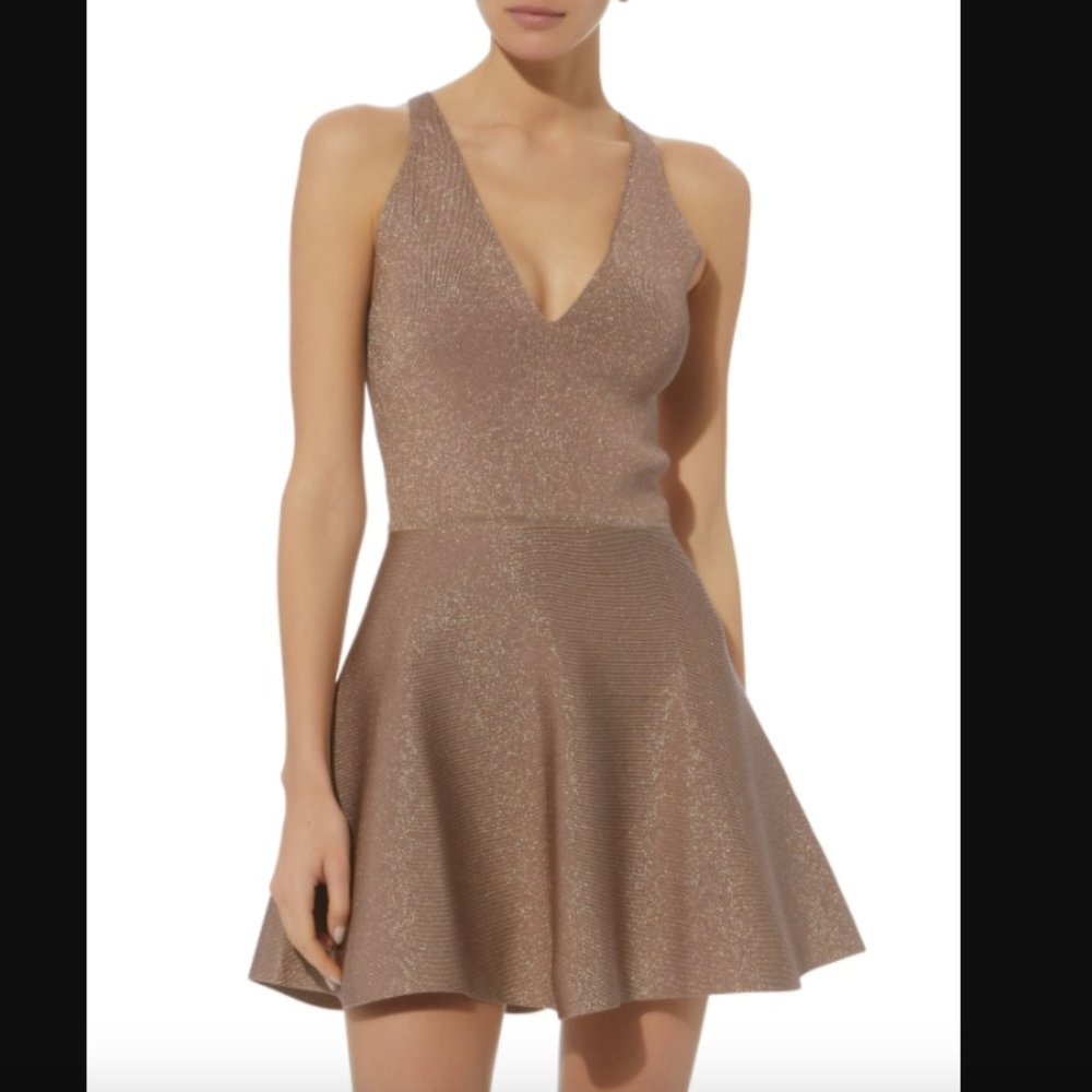 Cushnie et Ochs Rose Shimmer Fit Flare Dress XS